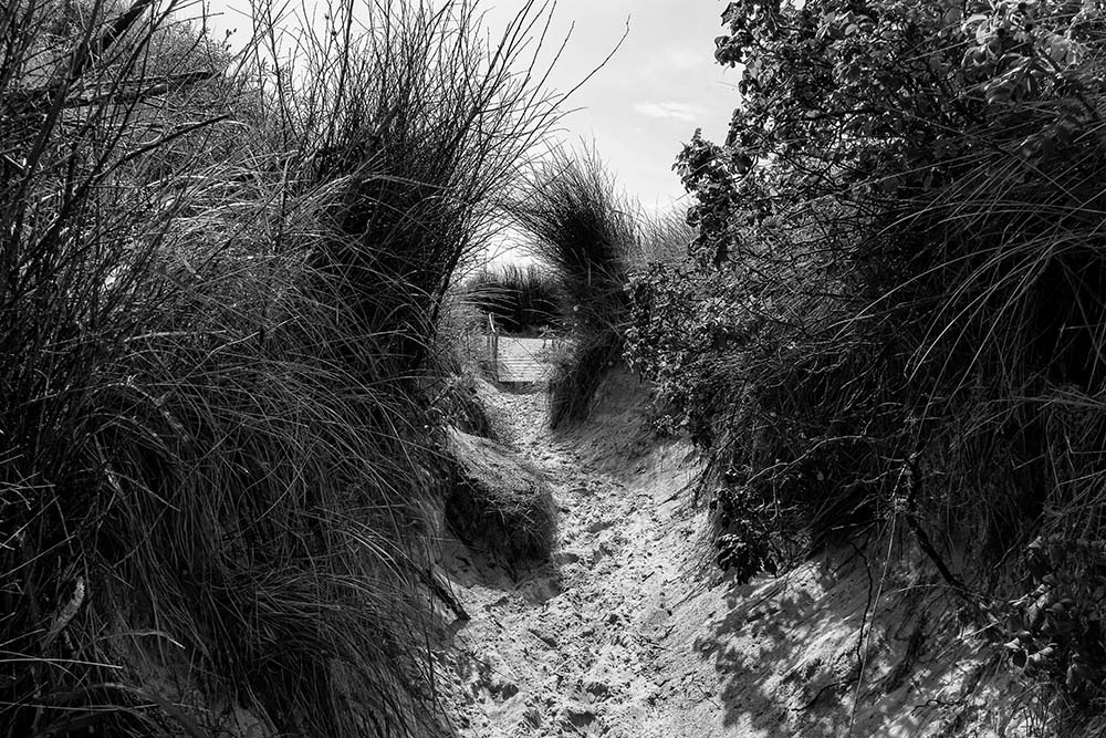 Weg in den Dünen
