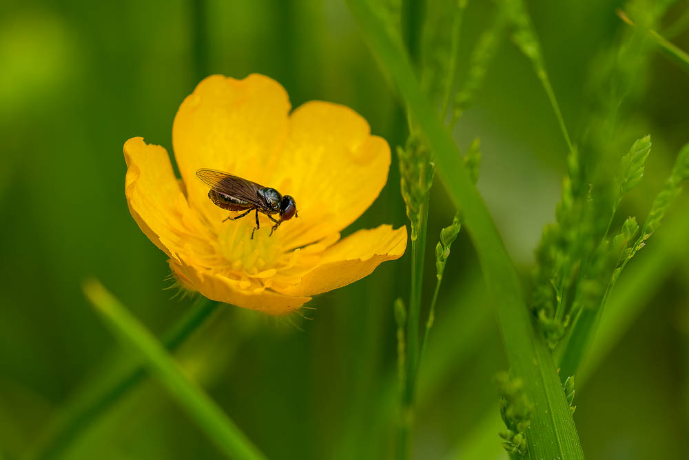 ganz nah dran - ein glänzender auftritt