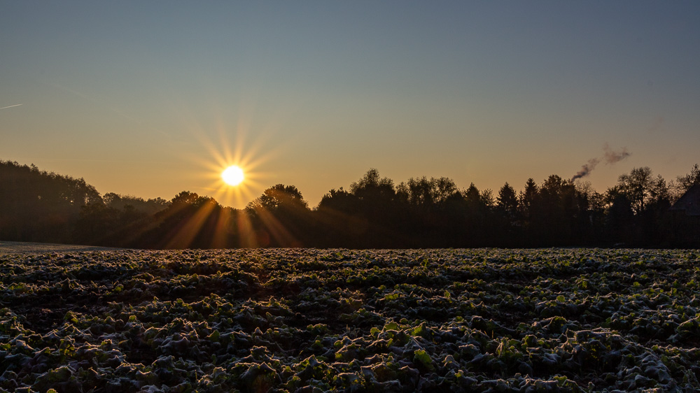 Frostiger Sonnenaufgang