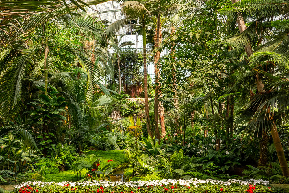 Im Palmenhaus Frankfurt