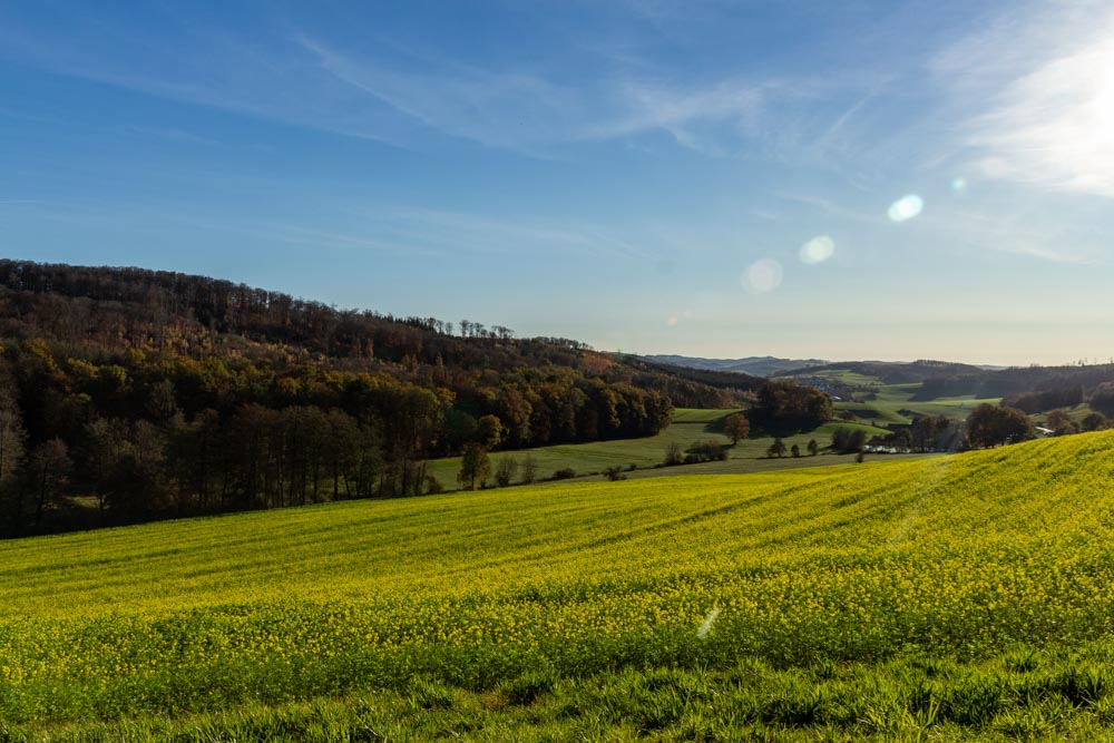 Rund um Beckum