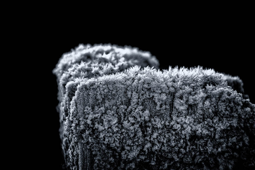 Frost