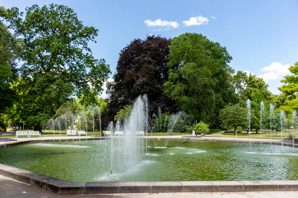 Fontäne im Palmengarten