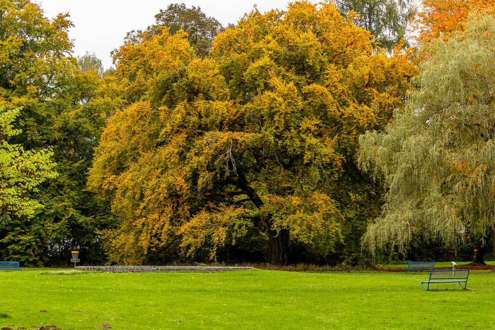 Herbstimpressionen im Park
