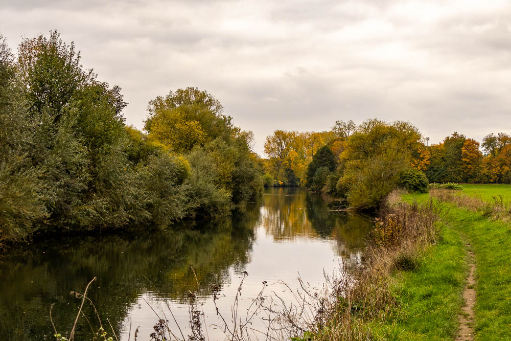Ruhrufer Kiebitzwiese