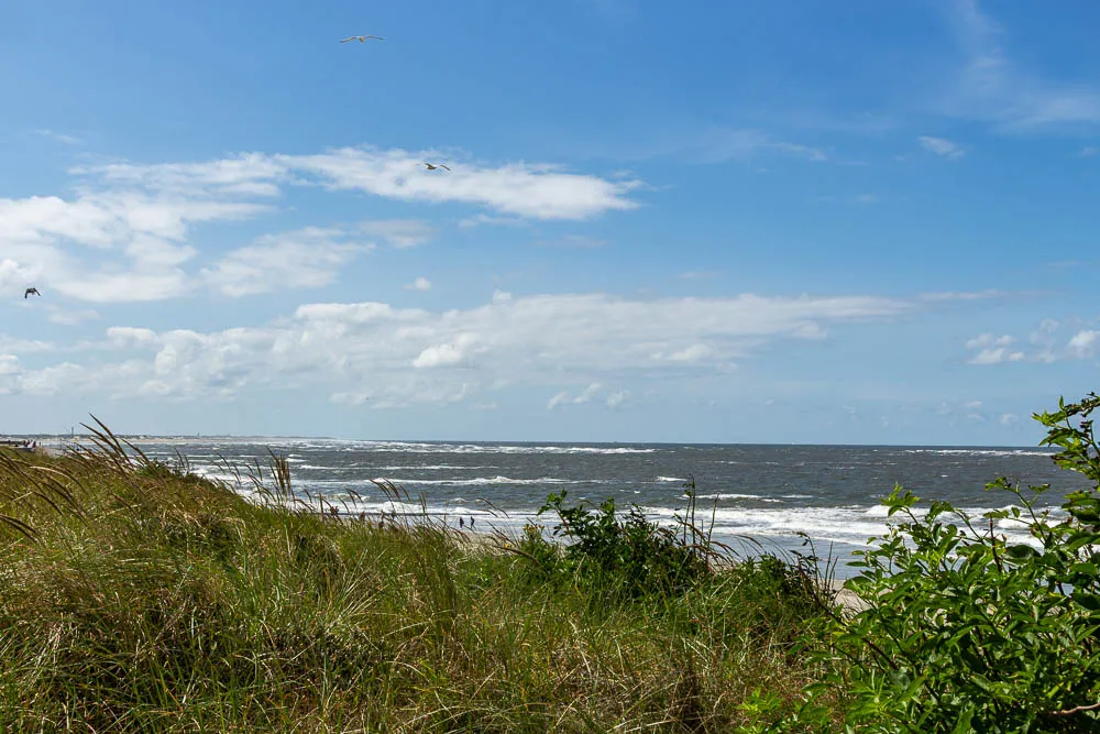 Blick durch Dünenvegetation auf die Nordsee.