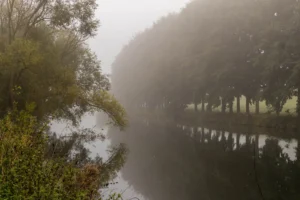 Nebelige Ruhr mit Bäumen am Ufer im Himmelmannpark in Fröndenberg
