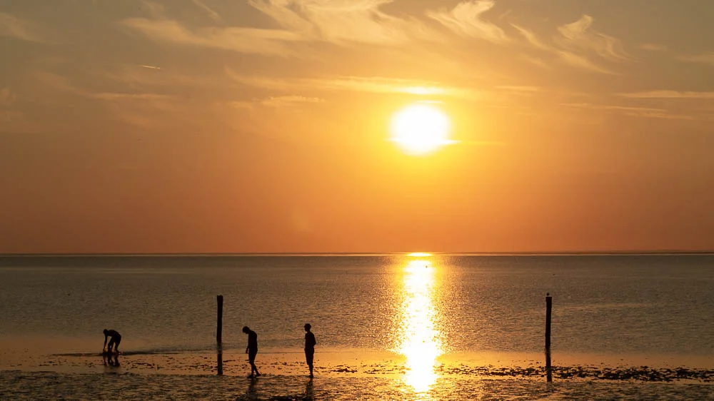 Menschen als Silhouetten im Watt vor einem Sonnenuntergang an der Nordsee