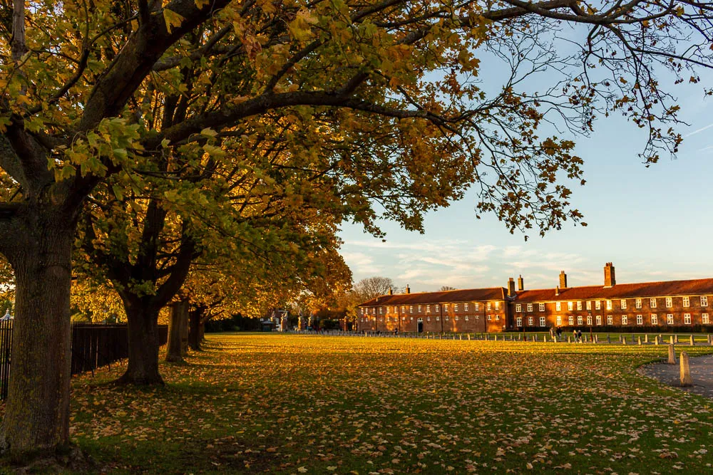 Herbstlich gefärbte Baumreihe im Park von Hampton Court Palace bei London im warmen Abendlicht.