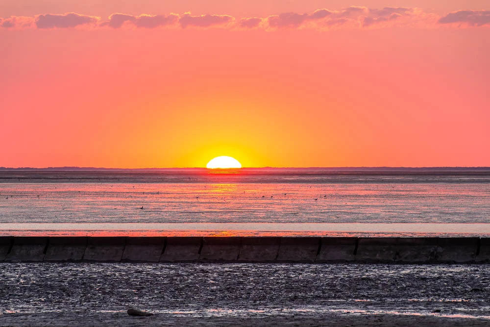 Die untergehende Sonne als heller Halbkreis über dem Horizont der Nordsee bei Norddeich