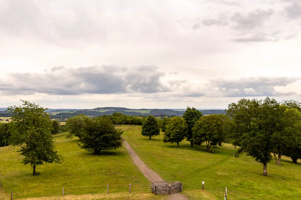 Offene Wiesenlandschaft am Dronketurm in der Vulkaneifel.