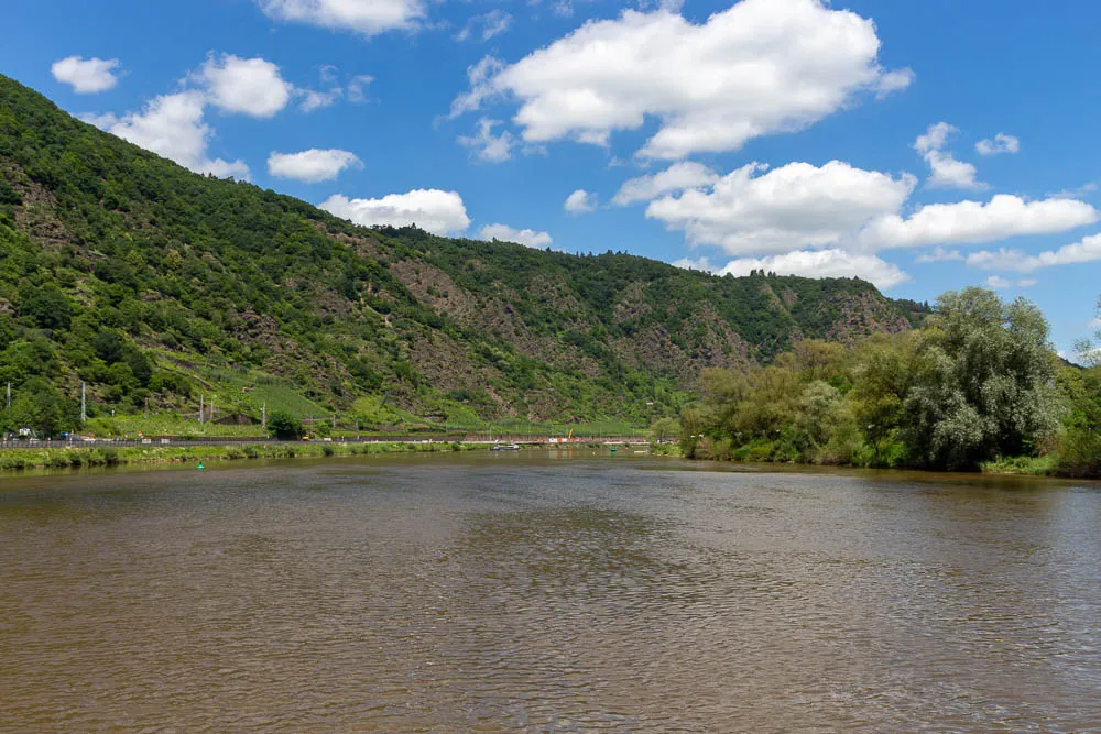 Blick vom Schiff über die Mosel auf bewaldete Steilhänge und das Flussufer.