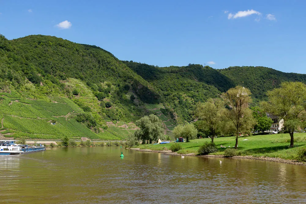 Blick vom Schiff über die Mosel auf Weinberge, Uferwiesen und bewaldete Hänge.