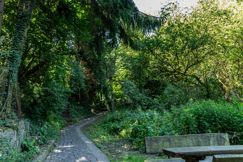 Schmaler gepflasterter Weg durch den schattigen Wald unterhalb der Reichsburg Cochem.