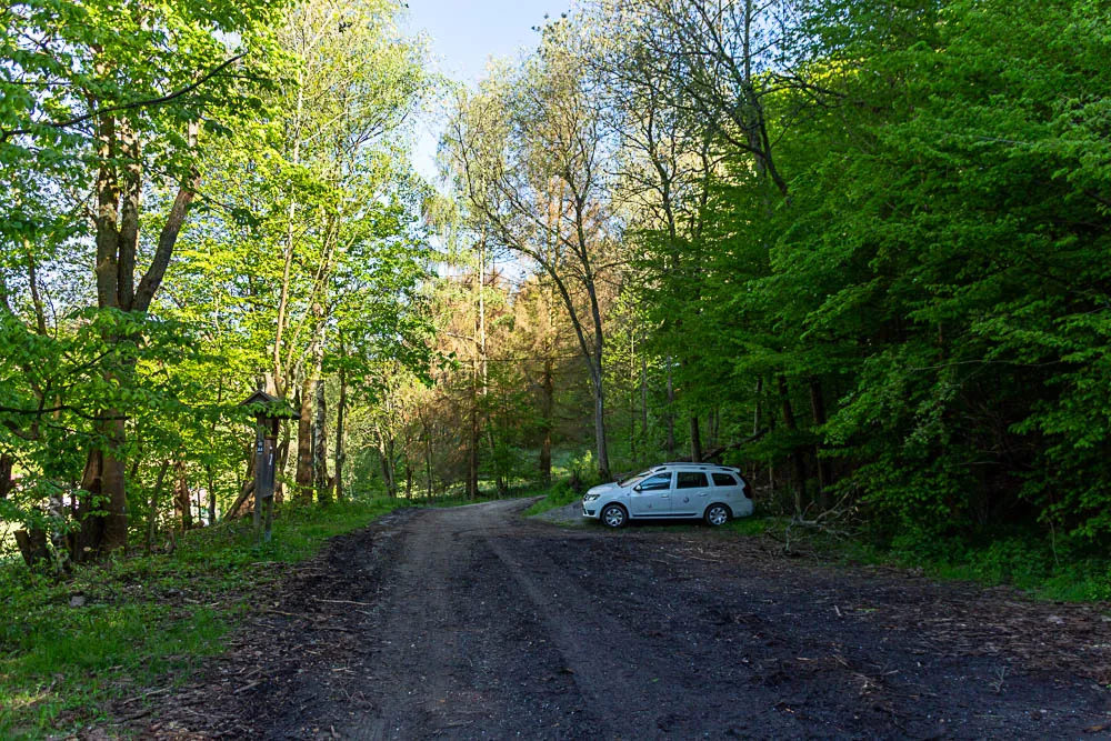 Waldweg am Parkplatz Stephanopel im Sauerland, dem Ausgangspunkt der Wanderung auf dem Balver Höhenweg.
