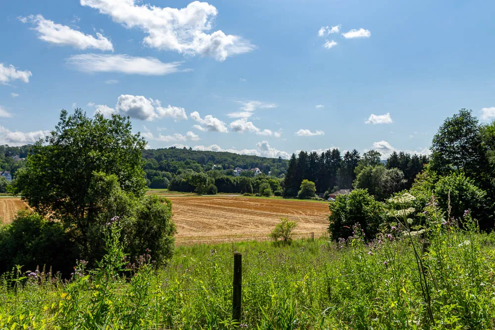 Blick über Felder und Wiesen am Rand der Arnsberger Kreuzbergrunde unter blauem Sommerhimmel.
