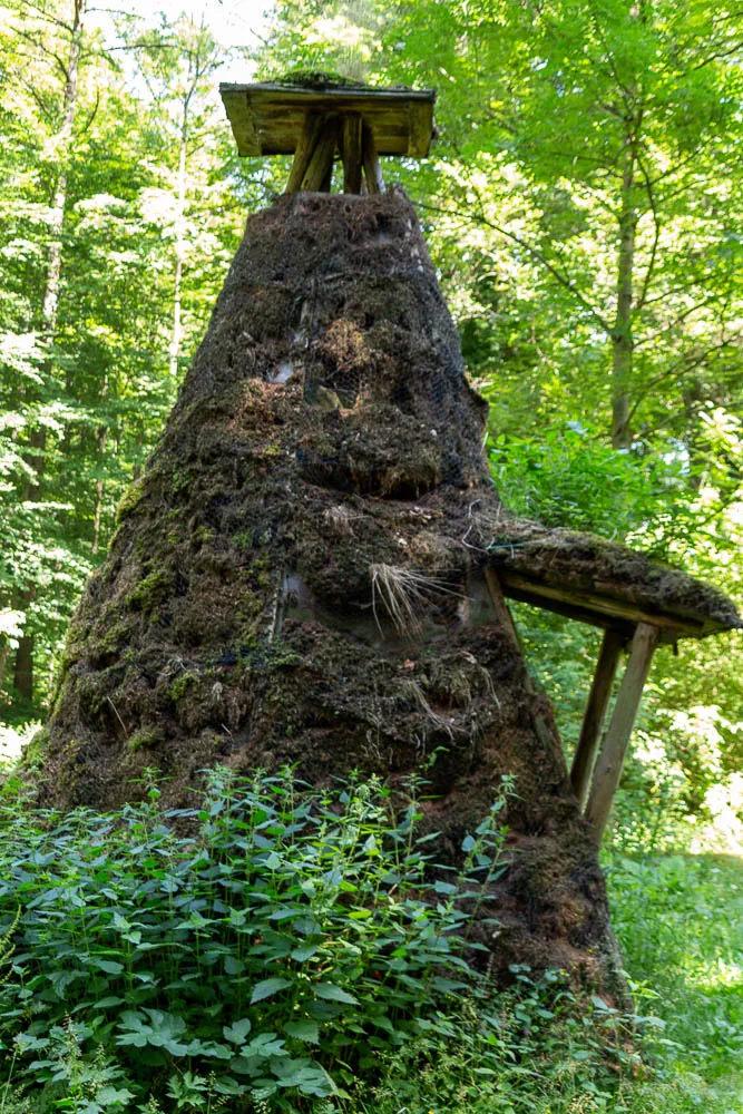 Blick von unten auf den moosbewachsenen Erdwall eines Köhlerofens im Wald.