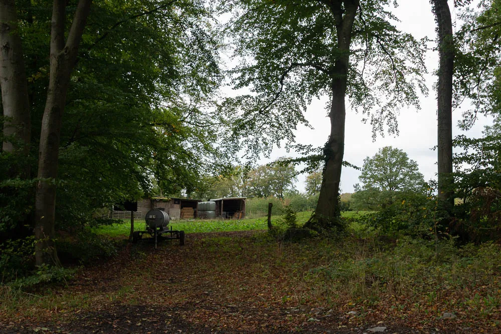 Blick durch Bäume auf eine kleine Weide mit landwirtschaftlichen Unterständen bei Eisborn.