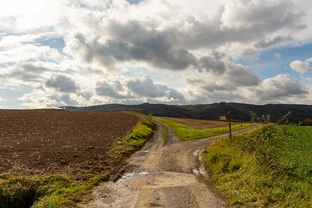 Ein unbefestigter Wanderweg führt zwischen Feldern durch die Landschaft bei Eisborn.