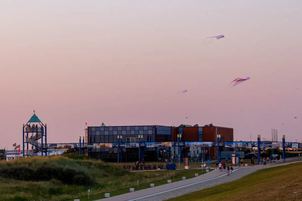 Drachen steigen vor dem Haus des Gastes in Norddeich am rosafarbenen Abendhimmel.